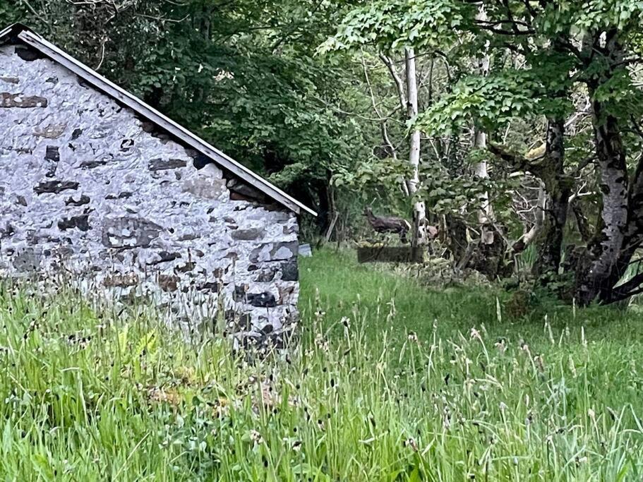 John The Mills Cottage Spahot Tub Private Beach Donegal Town Exterior foto